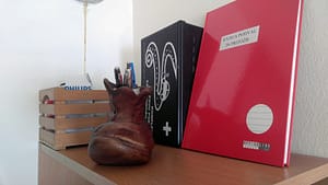 Knjiga pohval in pritižb